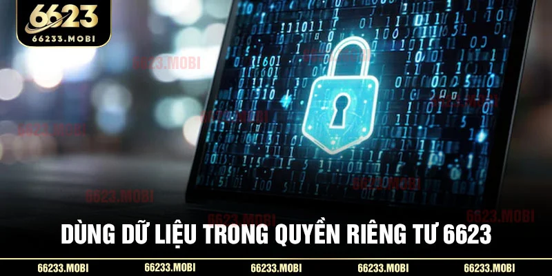 Dùng dữ liệu trong quyền riêng tư 6623