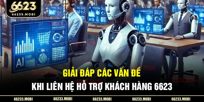 giai-dap-cac-van-de-khi-lien-he-ho-tro-khach-hang-6623