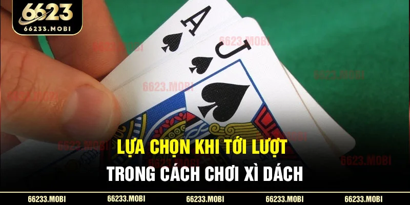 Lựa chọn khi tới lượt trong cách chơi xì dách