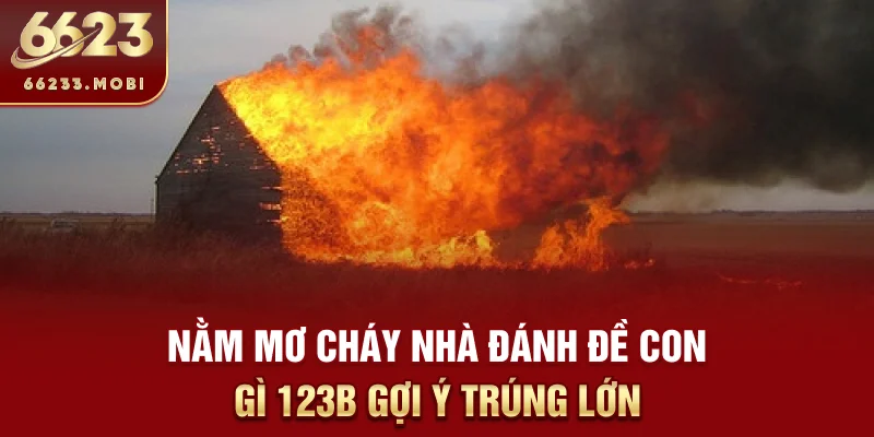 nam-mo-chay-nha-danh-de-con-gi-6623-goi-y-trung-lon