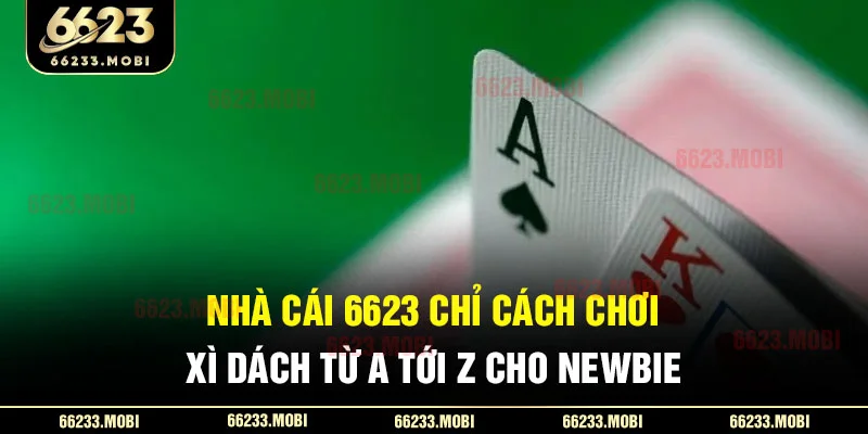 nha-cai-6623-chi-cach-choi-xi-dach-tu-a-toi-z-cho-newbie