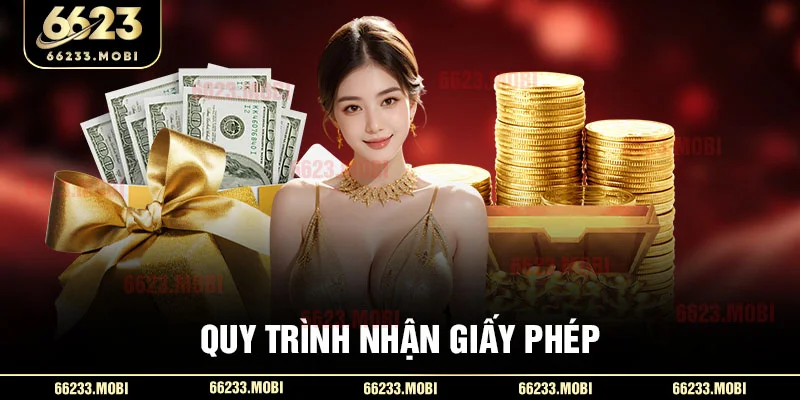 Quy trình nhận giấy phép
