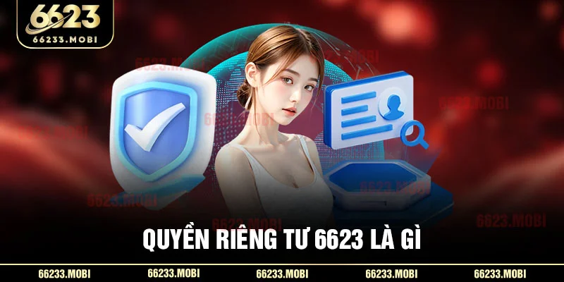 Quyền riêng tư 6623 là gì