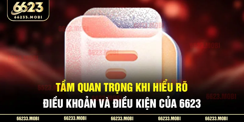 Tầm quan trọng khi hiểu rõ điều khoản và điều kiện của 6623 